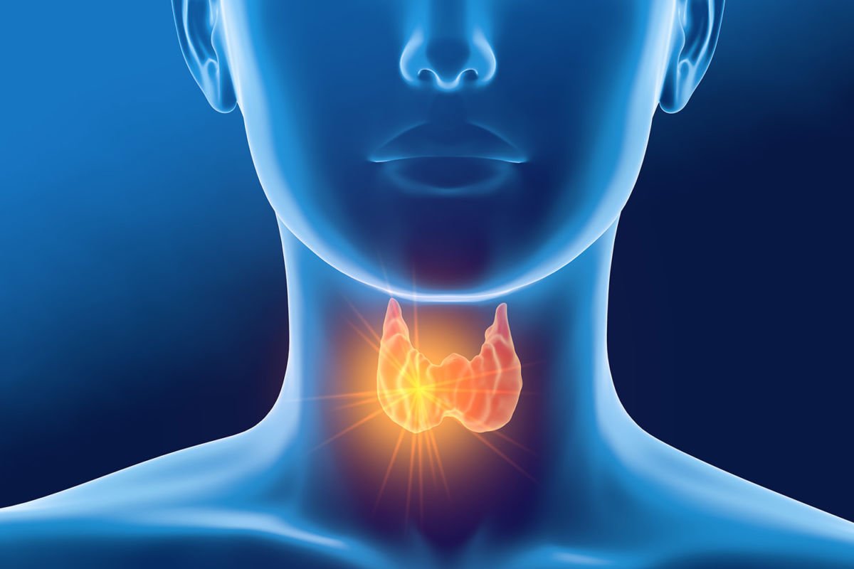 Как проводится биопсия щитовидной железы?